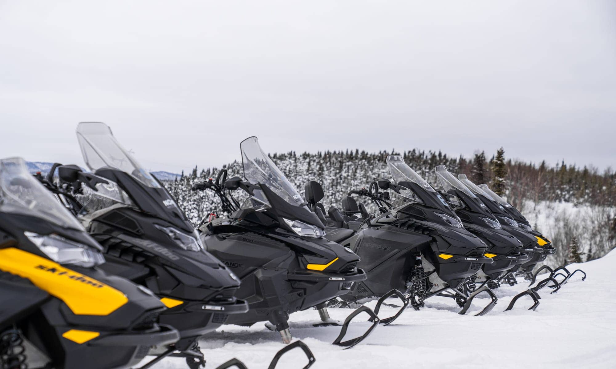 The snowmobile fleet lined up in the forest